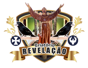 logotipo